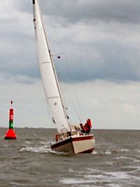 2019_Mittwochsregatta (7)